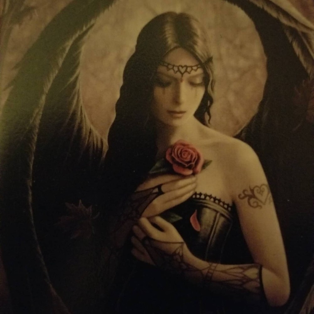 Meet your Posher, Road Kitten